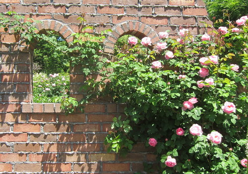 b0178339_21233848.jpg