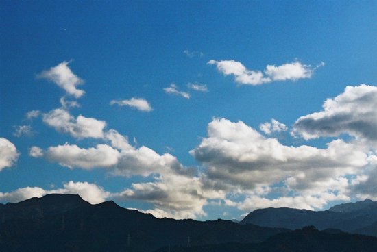 d0285339_20248.jpg
