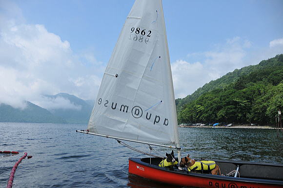 f0094843_1522291.jpg