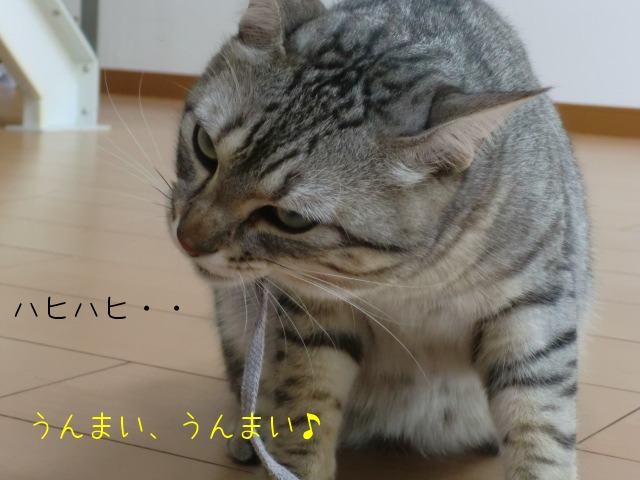 c0259945_1636265.jpg