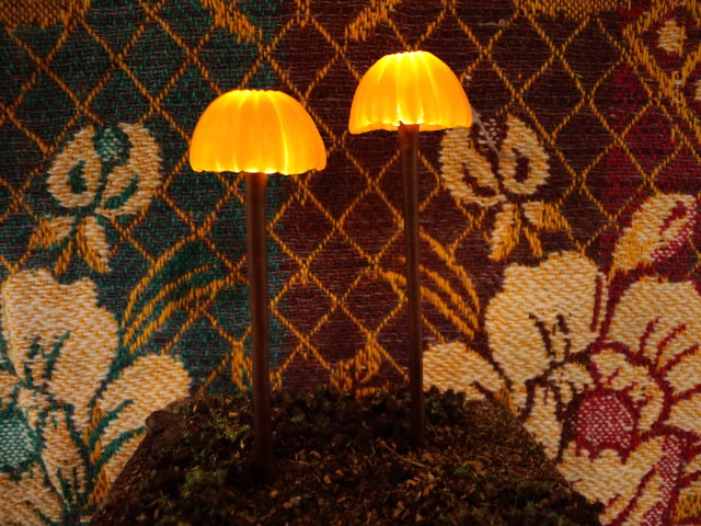 a0192147_124006.jpg