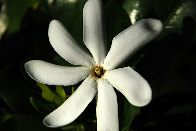 f0247849_23345995.jpg
