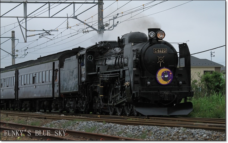 c0145250_1140342.jpg