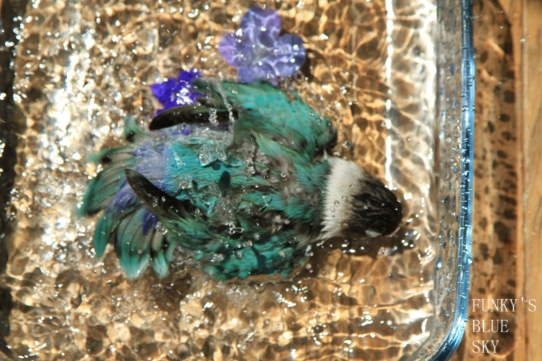 c0145250_115118.jpg