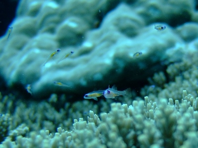 b0117353_12103814.jpg