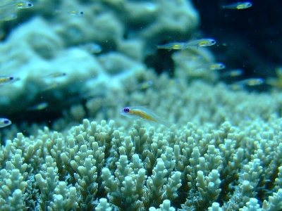 b0117353_1294064.jpg