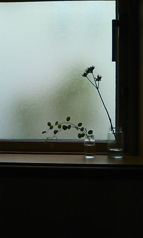 b0242064_51551.jpg