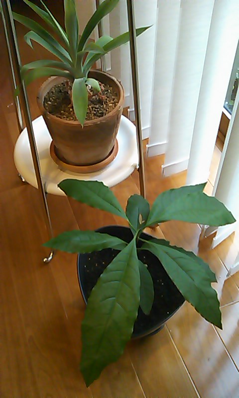 b0242064_521115.jpg