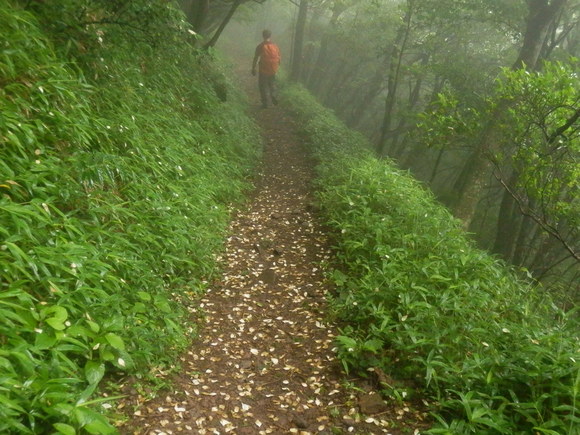 c0042869_720362.jpg