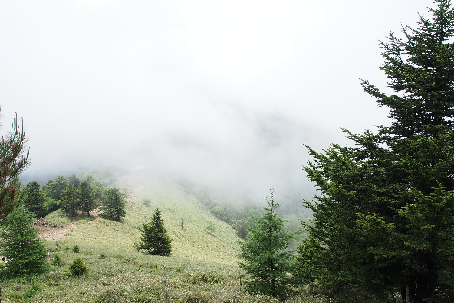 e0307372_23232710.jpg