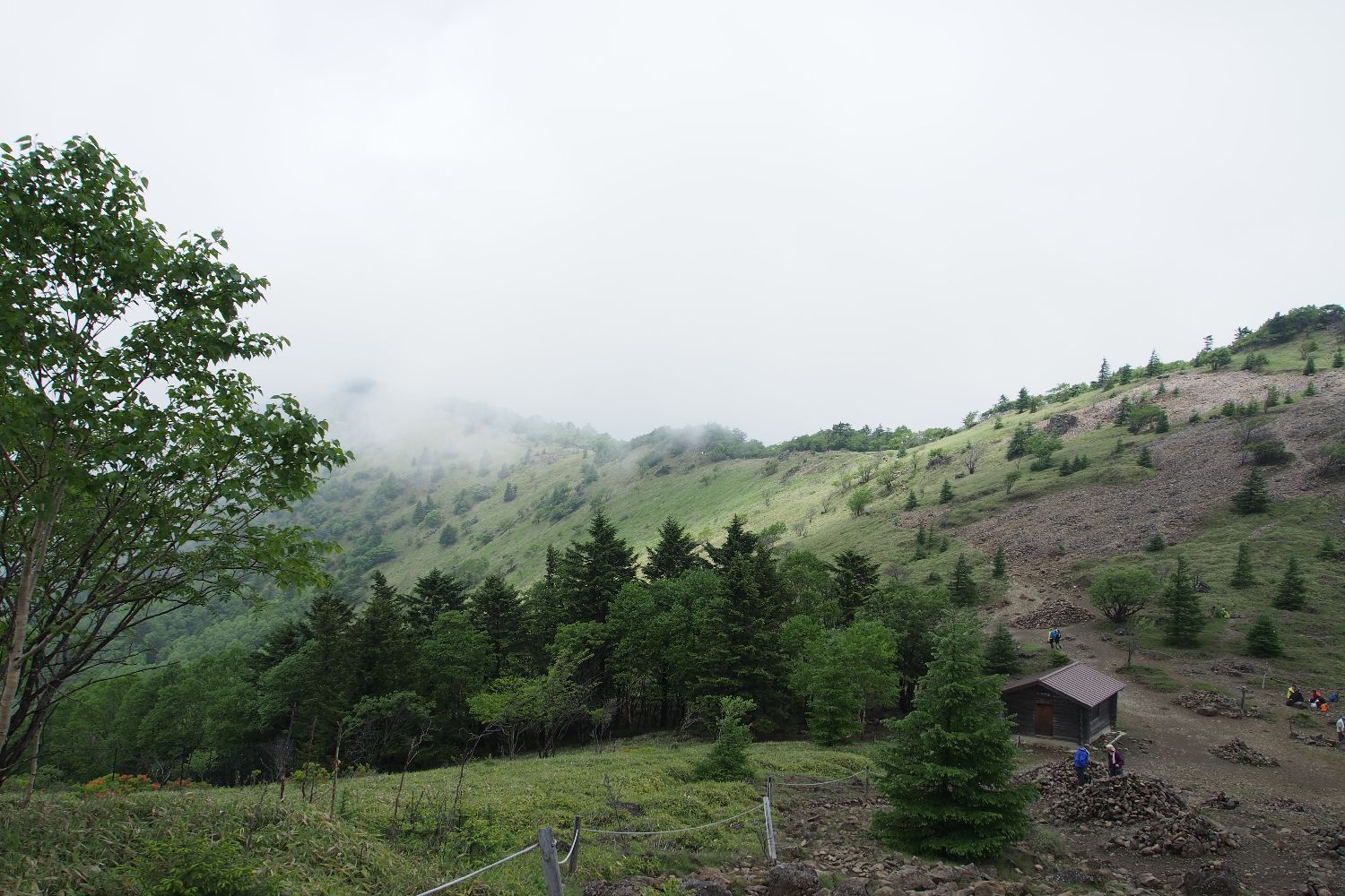 e0307372_23294259.jpg