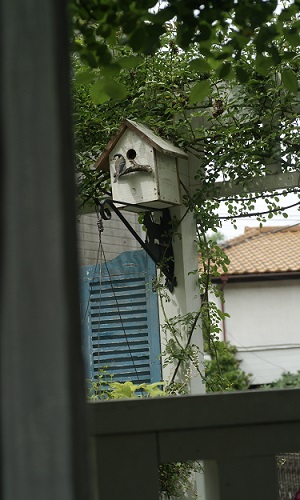 f0166982_22463969.jpg