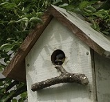 f0166982_22535912.jpg
