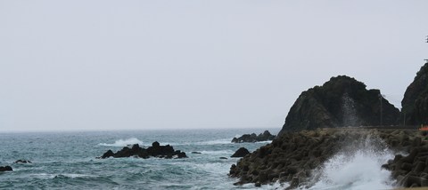 e0197884_2255518.jpg