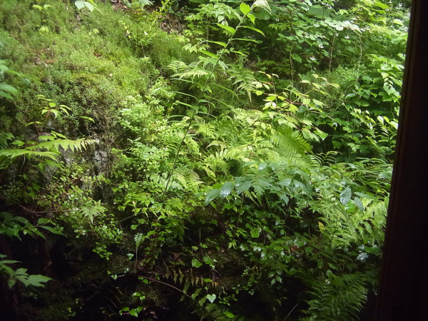 e0203009_22591489.jpg