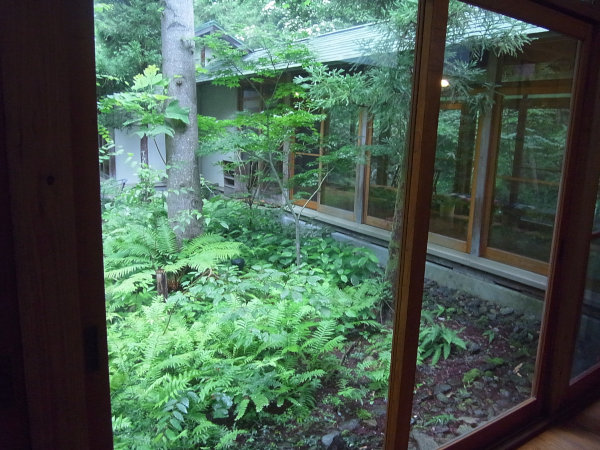 e0203009_2259479.jpg