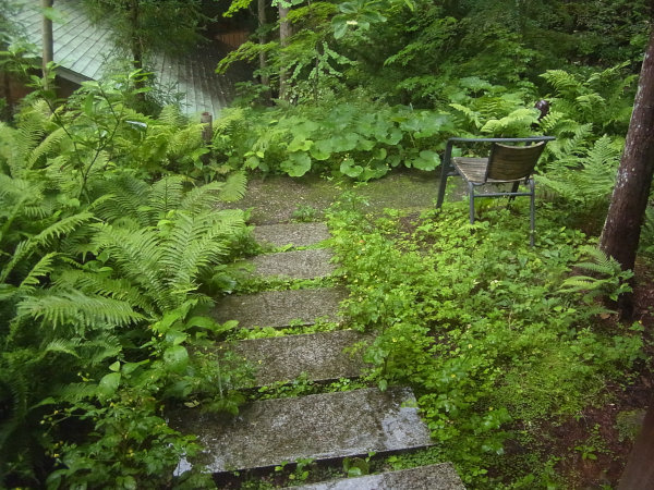 e0203009_2304929.jpg