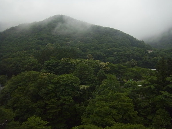 e0203009_2335378.jpg