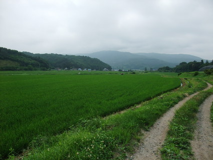 e0027813_11564653.jpg