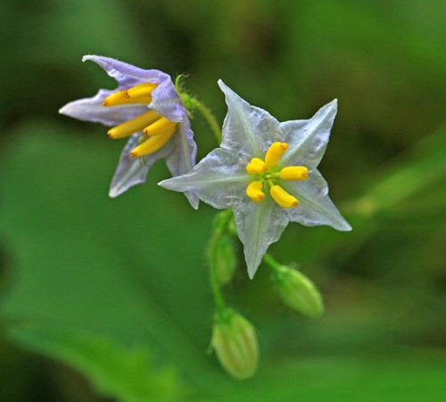 c0104227_91717100.jpg