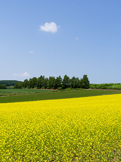 e0025030_10371979.jpg