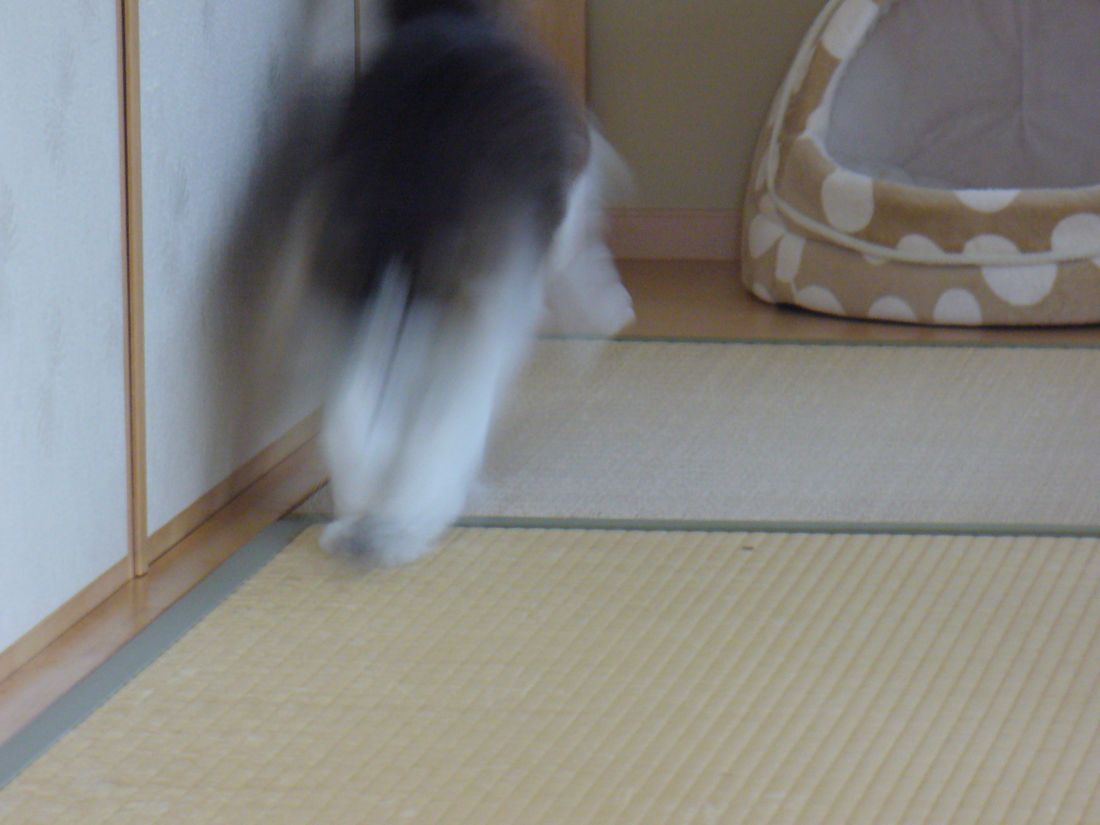 f0275632_19175421.jpg
