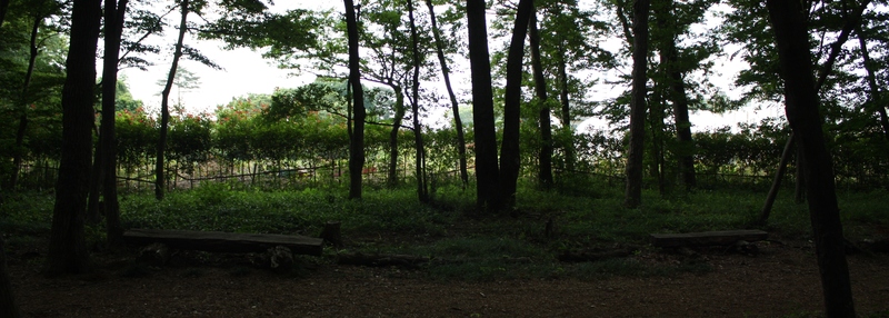 b0241033_1614759.jpg