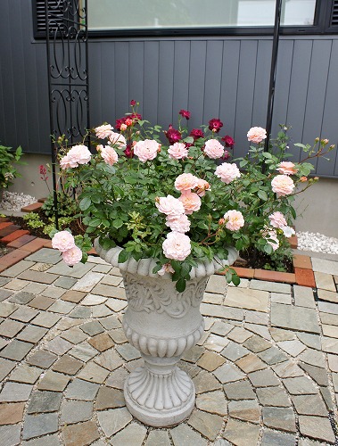 f0205733_23515210.jpg