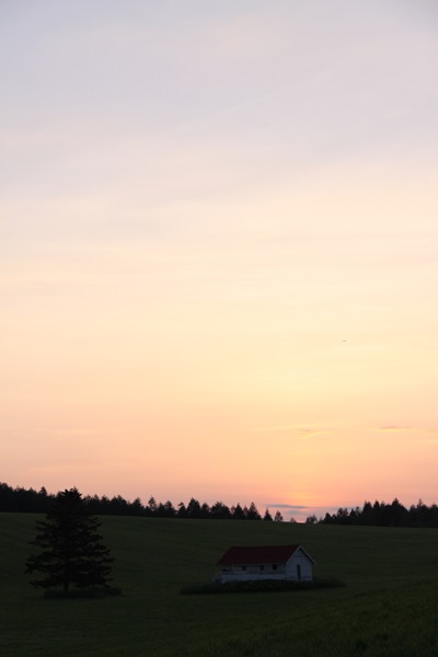 f0217933_17451640.jpg