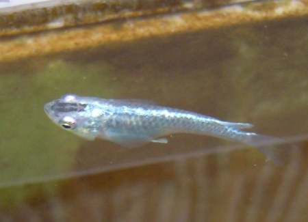 e0097534_11154075.jpg