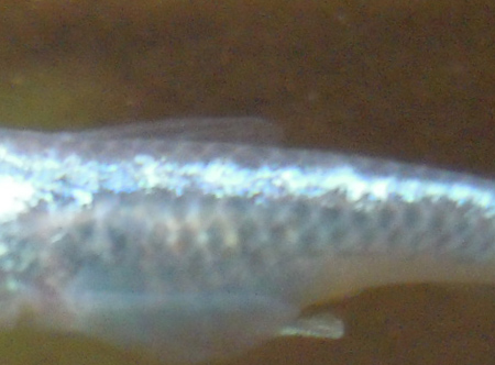 e0097534_1117675.jpg