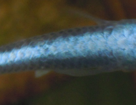 e0097534_1119365.jpg