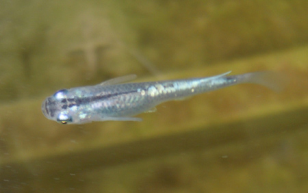 e0097534_11295962.jpg