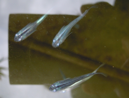 e0097534_11301929.jpg