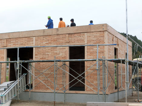 f0147037_2335879.jpg