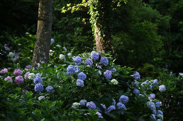 a0242438_20102493.jpg