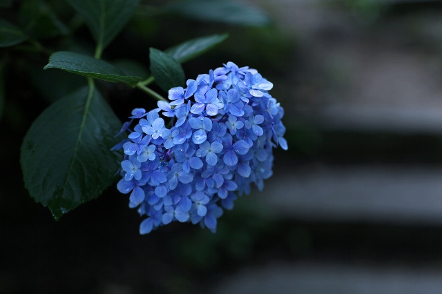a0242438_20103258.jpg