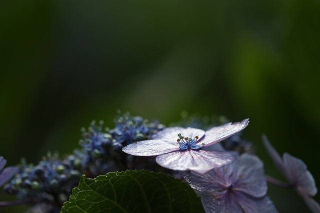a0242438_20103314.jpg