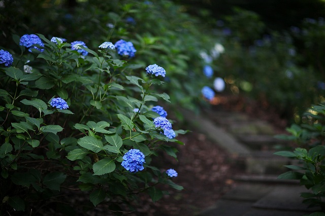a0242438_20114966.jpg