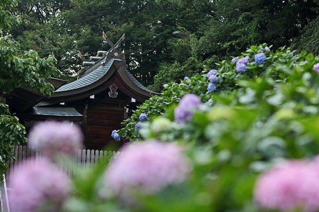 a0242438_20115290.jpg