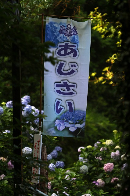 a0242438_2011881.jpg