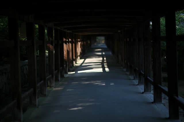 a0242438_20123562.jpg