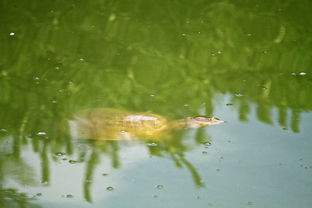 a0242438_2012537.jpg