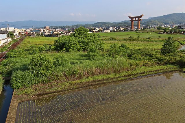 a0242438_2094294.jpg