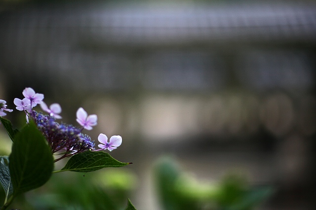a0242438_2094873.jpg