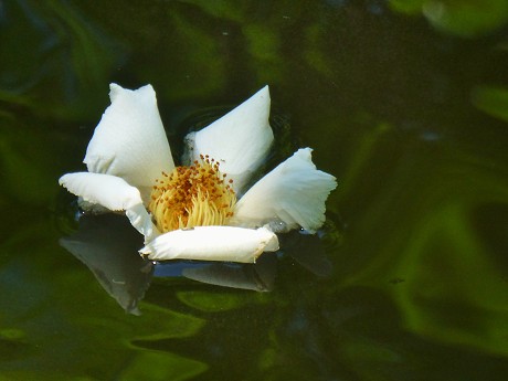 c0057946_202389.jpg