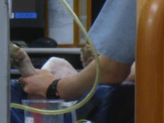 a0088549_0244373.jpg