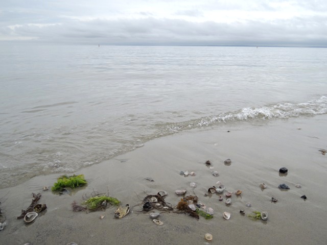b0173754_32640100.jpg