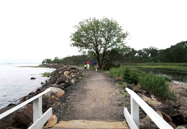 b0173754_352587.jpg