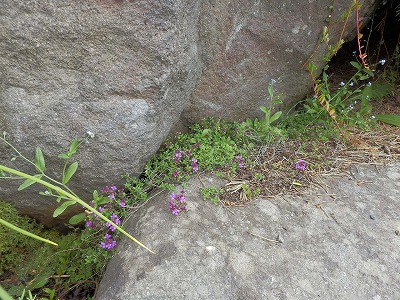 e0004756_19445680.jpg